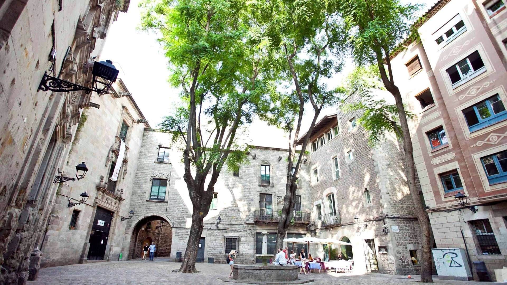 Barcelona Old Town and Gothic Quarter Private Walking Tour - In out Barcelona Tours