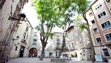Barcelona Old Town and Gothic Quarter Walking Tour - In out Barcelona Tours